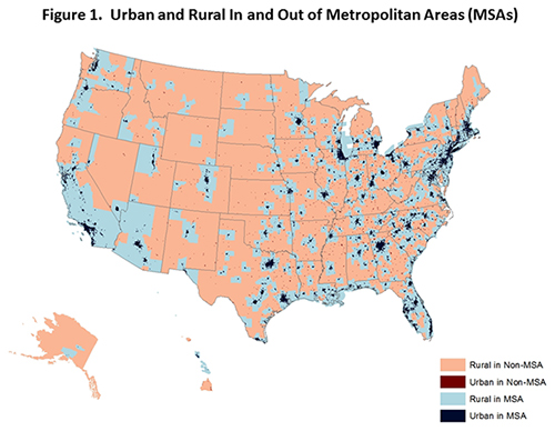 Figure 1. Urban and Rural In and Out of Metro Areas