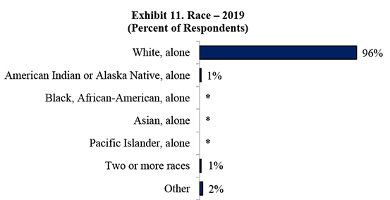 Exhibit 11. Race – 2019