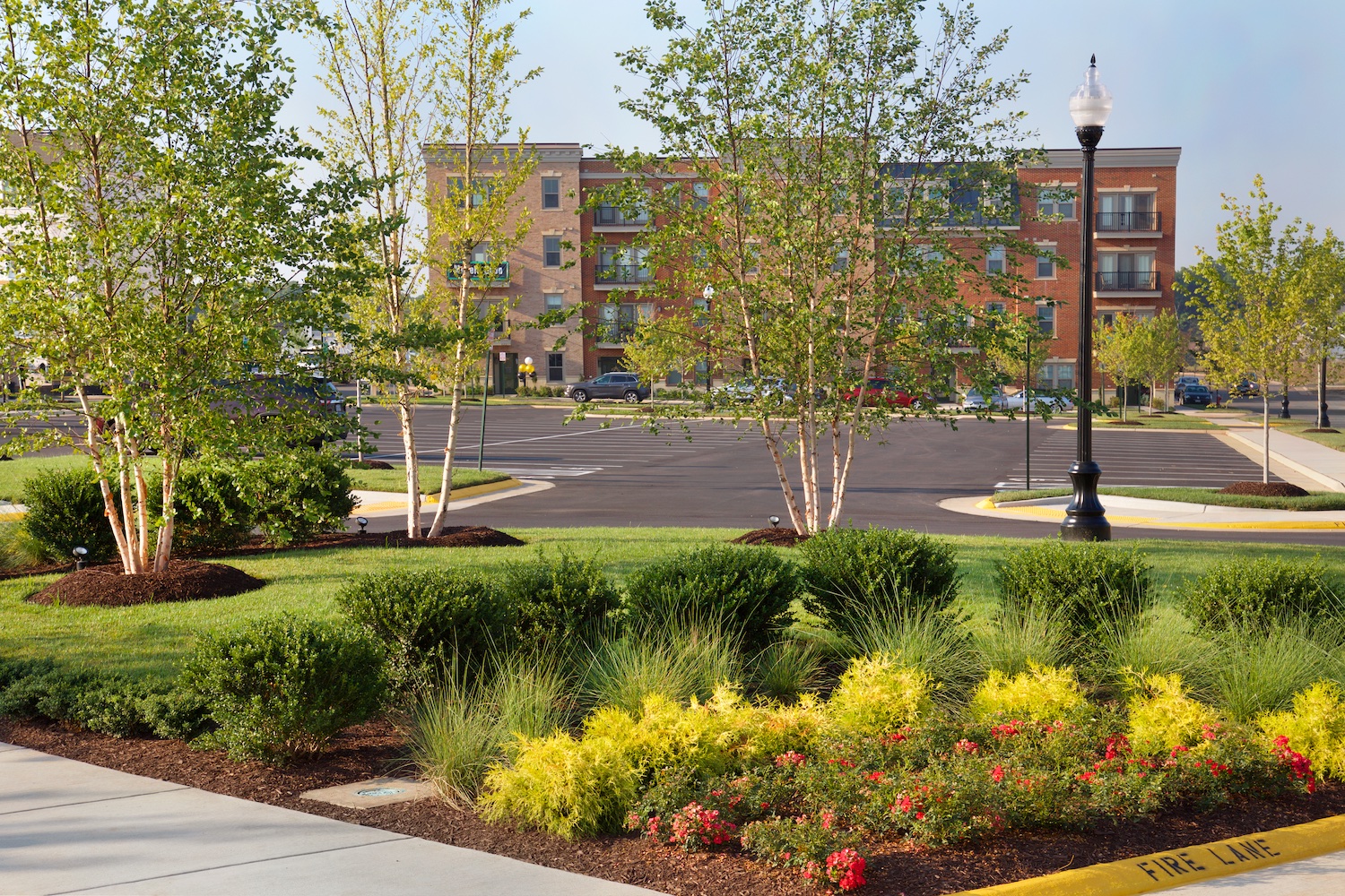 Best of 55+ Housing Birchwood at Brambleton Community